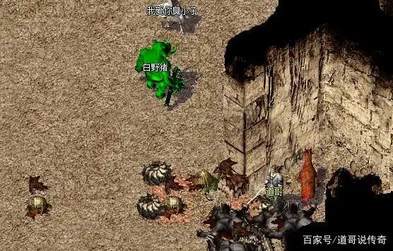 猪洞七层